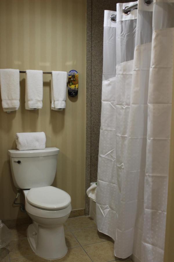Holiday Inn Express Tehachapi By Ihg Pokój zdjęcie